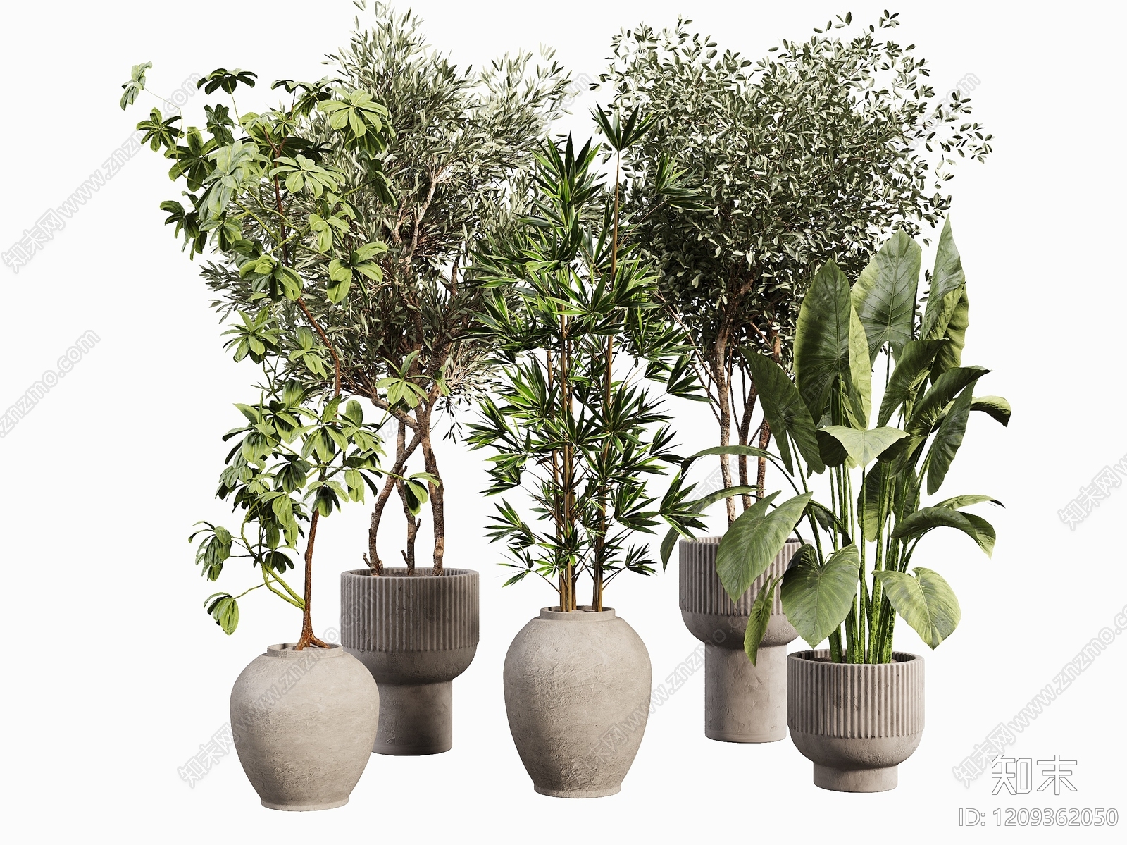 侘寂盆栽3D模型下载【ID:1209362050】
