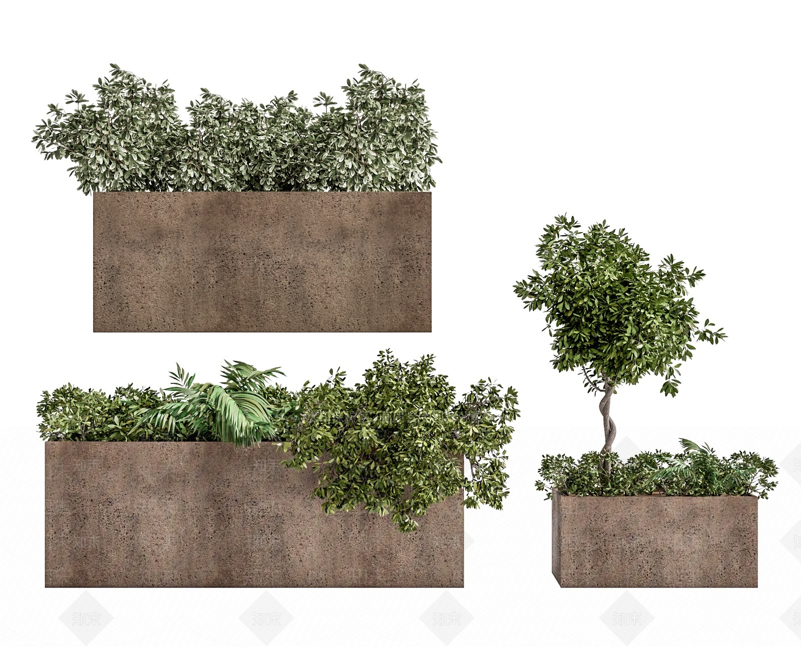 侘寂绿植花坛花钵SU模型下载【ID:1209461656】