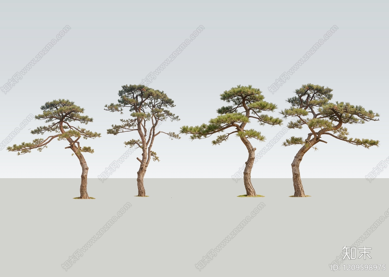乔木SU模型下载【ID:1209598975】