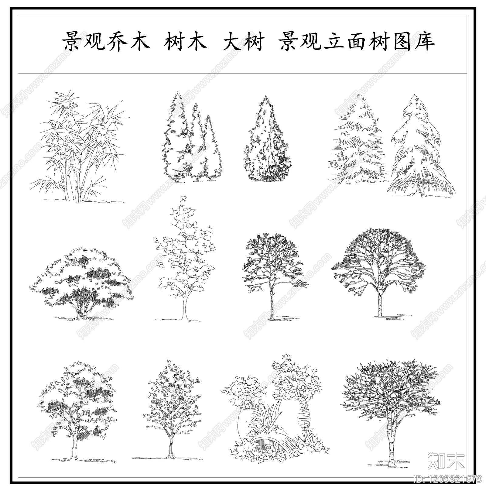 乔木种植施工图下载【ID:1209821679】