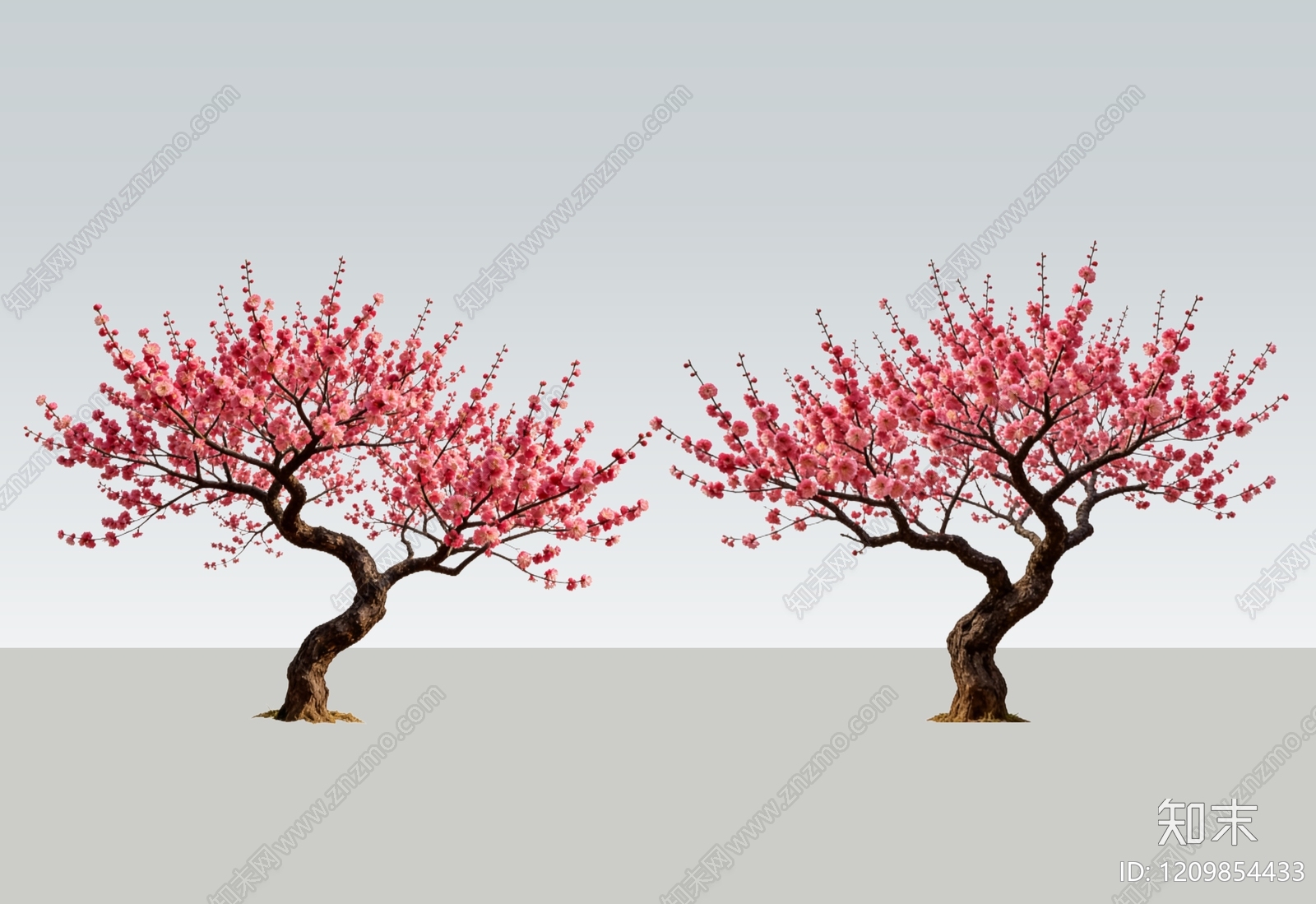 乔木SU模型下载【ID:1209854433】