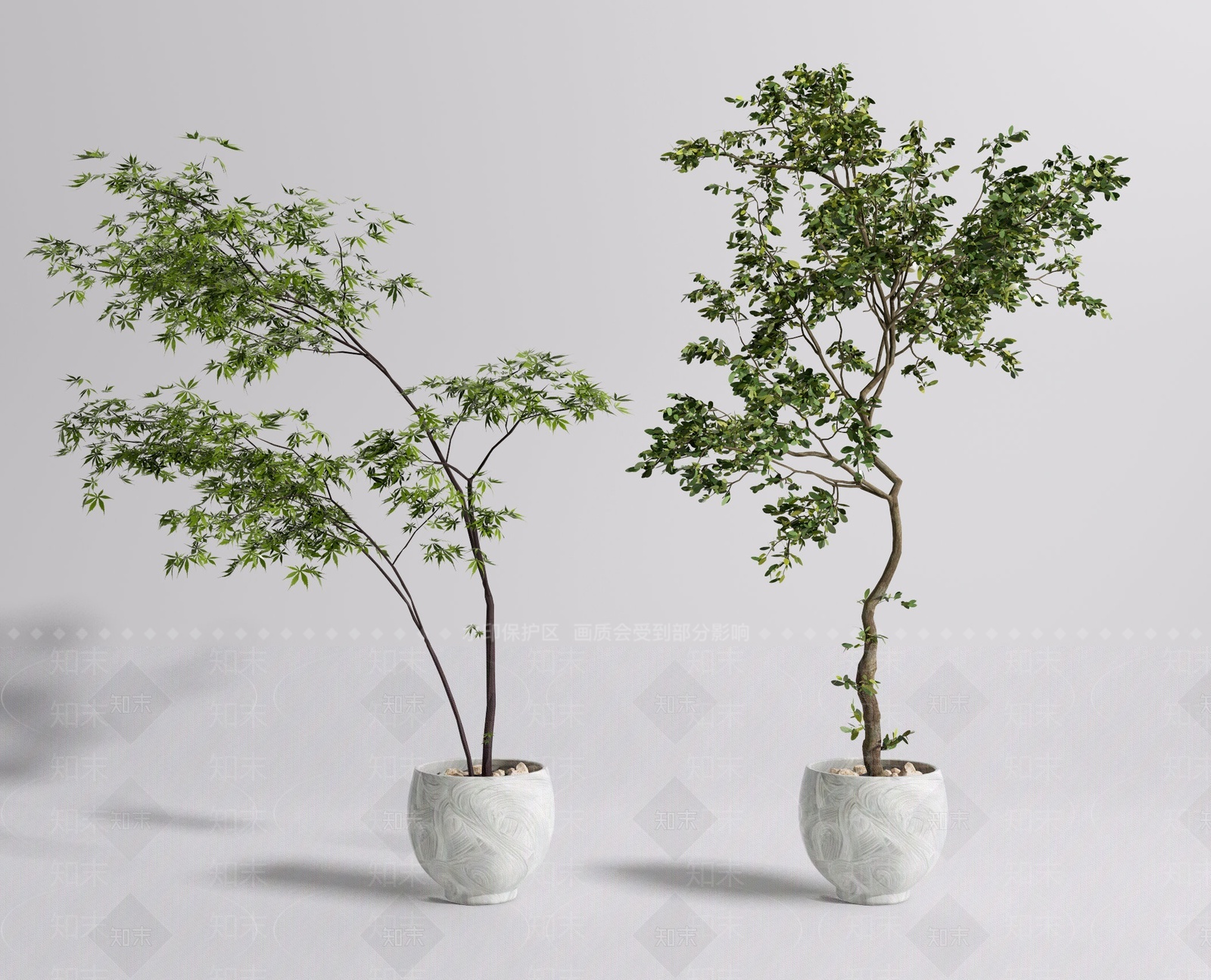 现代植物盆栽SU模型下载【ID:1209861218】