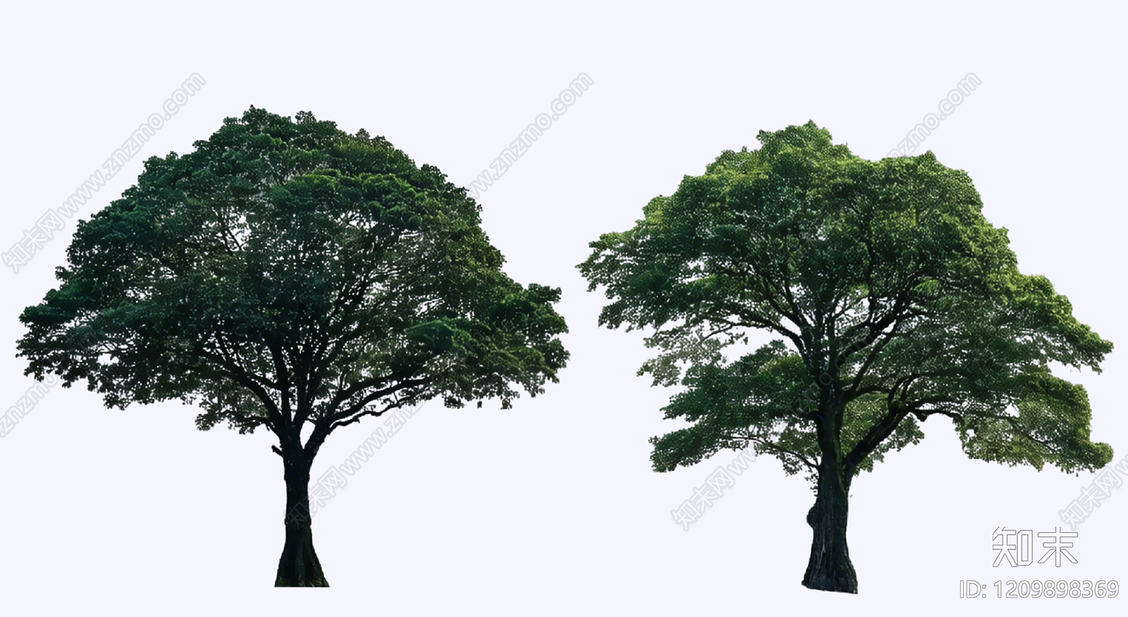 乔木SU模型下载【ID:1209898369】
