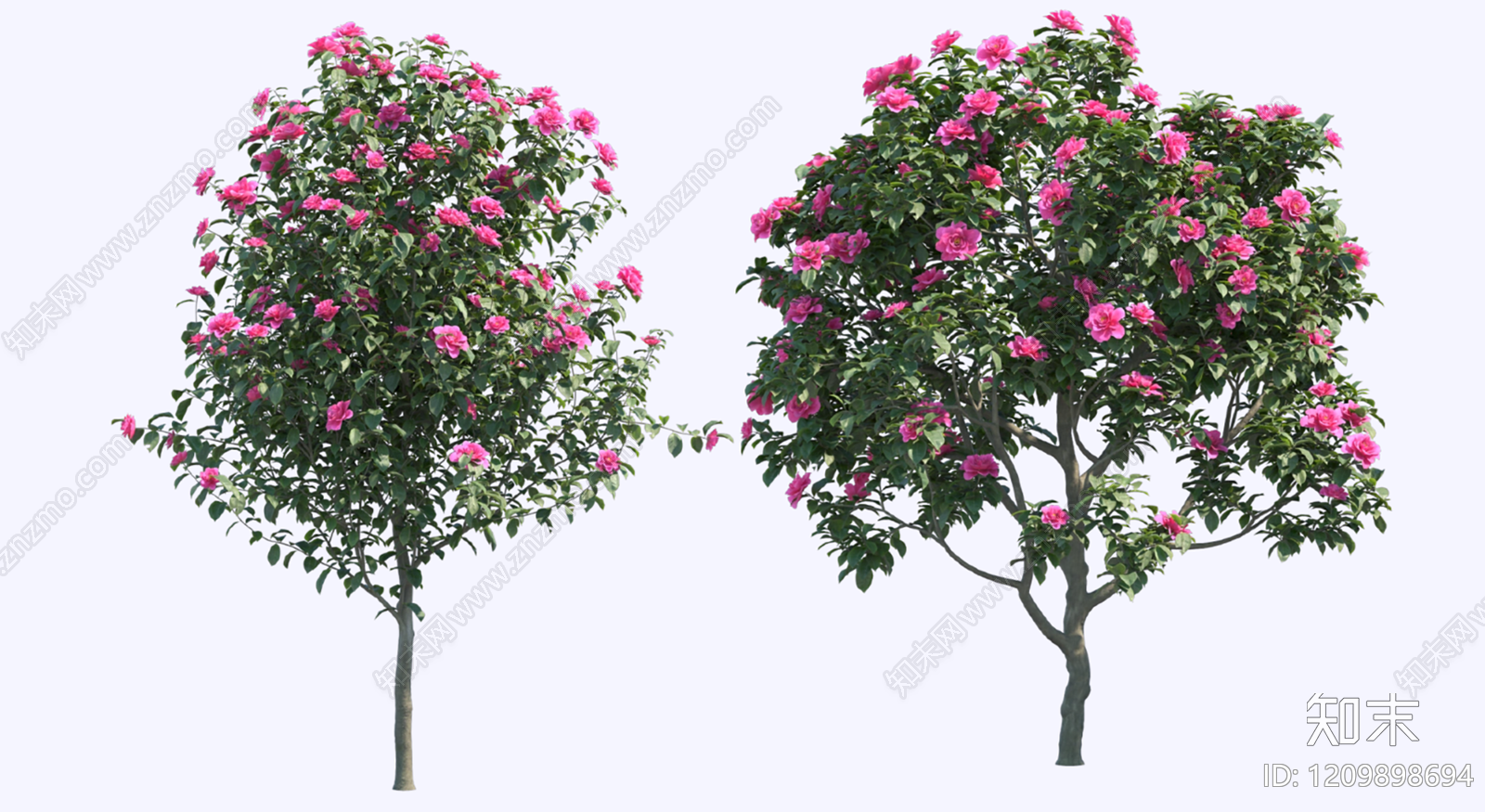 乔木SU模型下载【ID:1209898694】