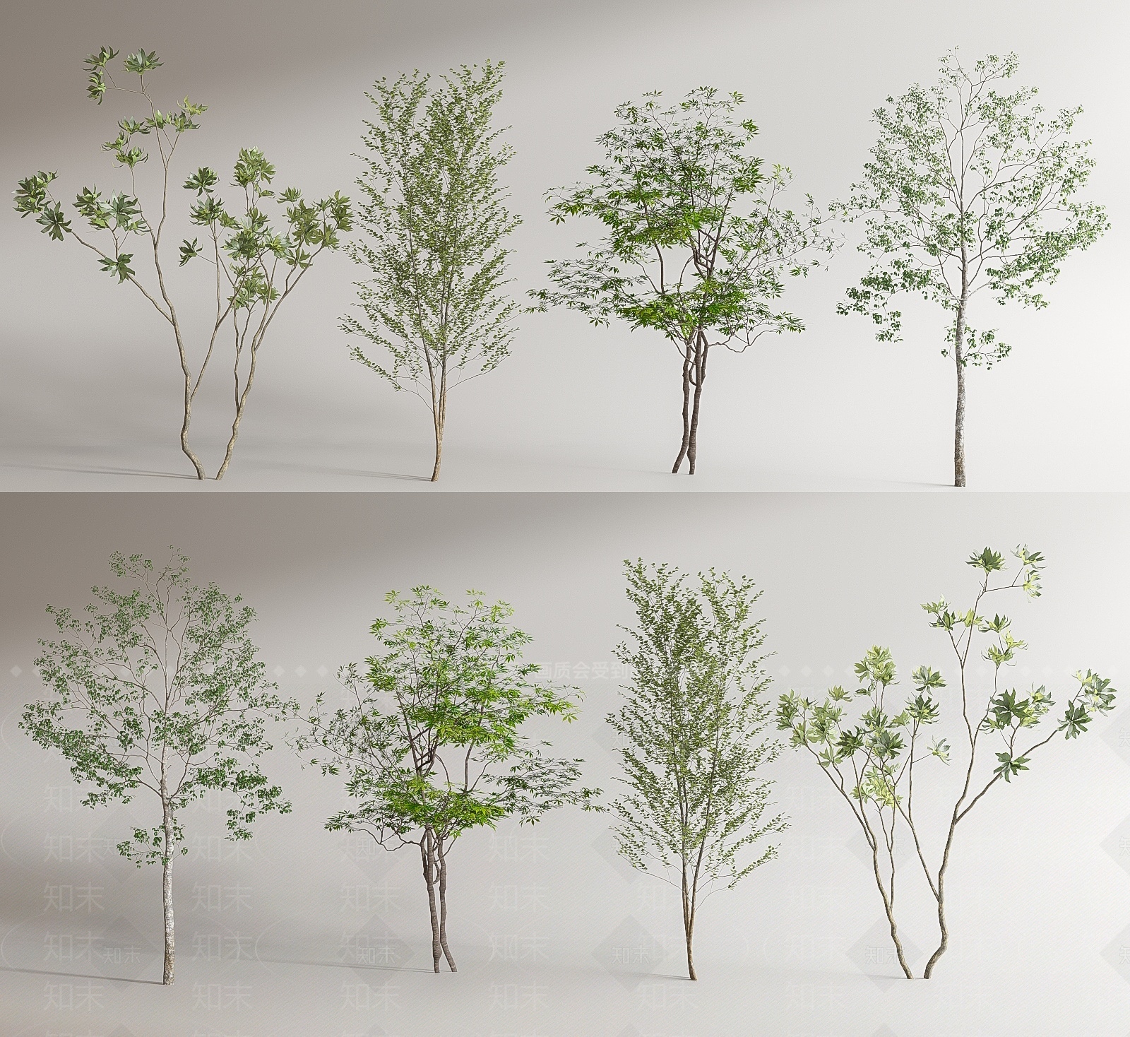 现代乔木景观树SU模型下载【ID:1209898778】