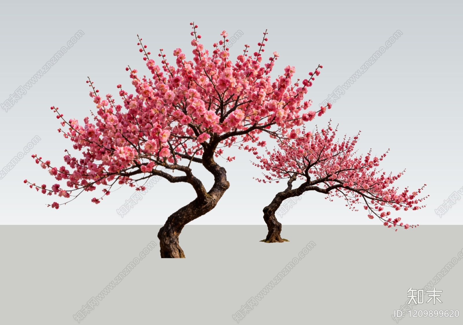 乔木SU模型下载【ID:1209899620】