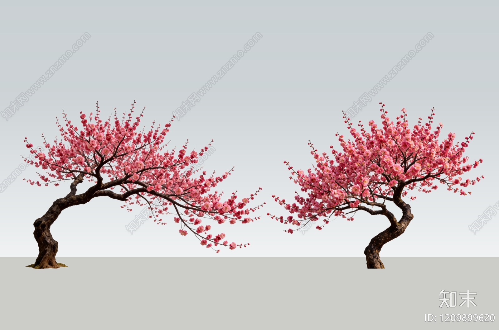 乔木SU模型下载【ID:1209899620】