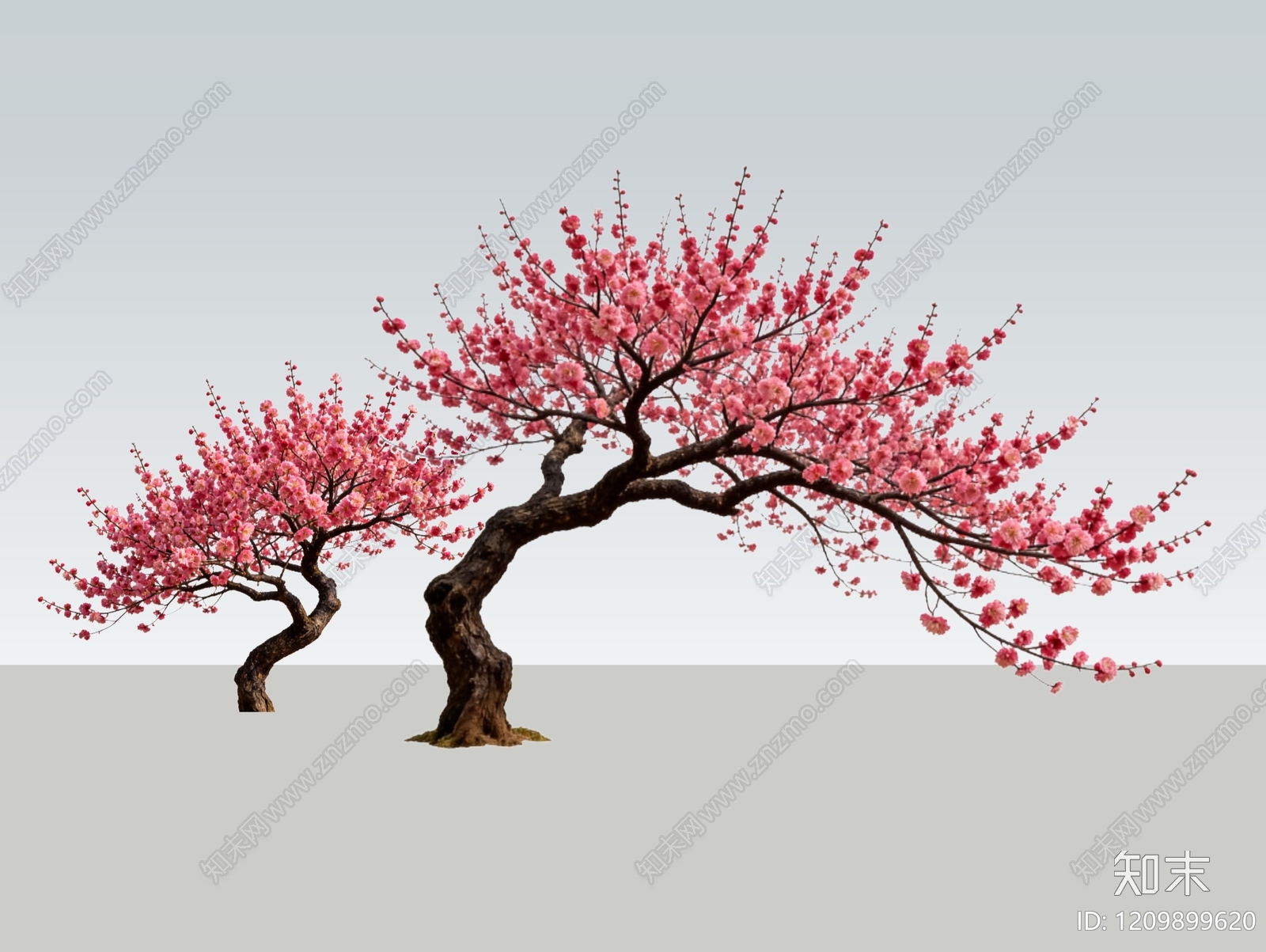 乔木SU模型下载【ID:1209899620】