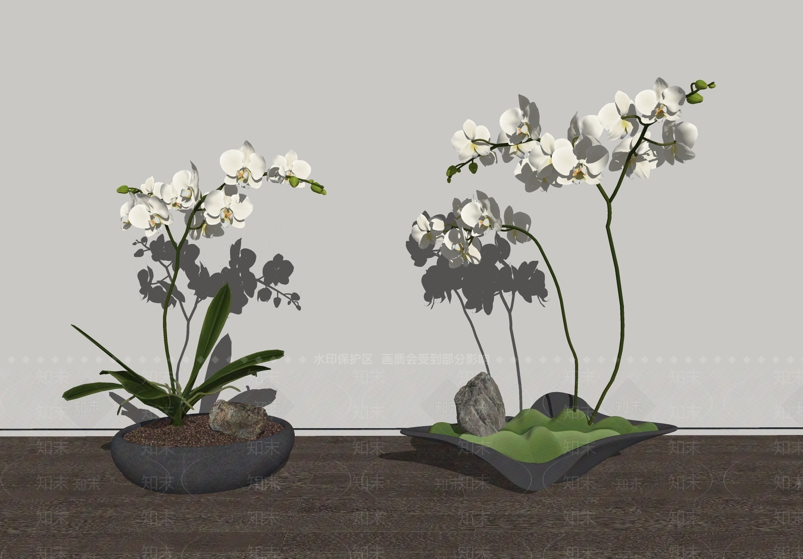 蝴蝶兰盆栽SU模型下载【ID:1209904425】
