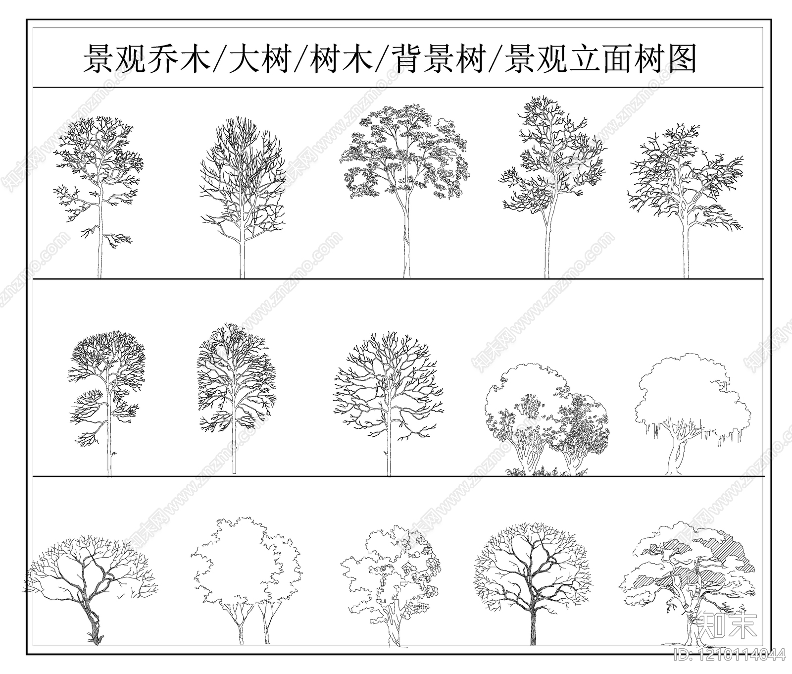 乔木种植施工图下载【ID:1210114044】