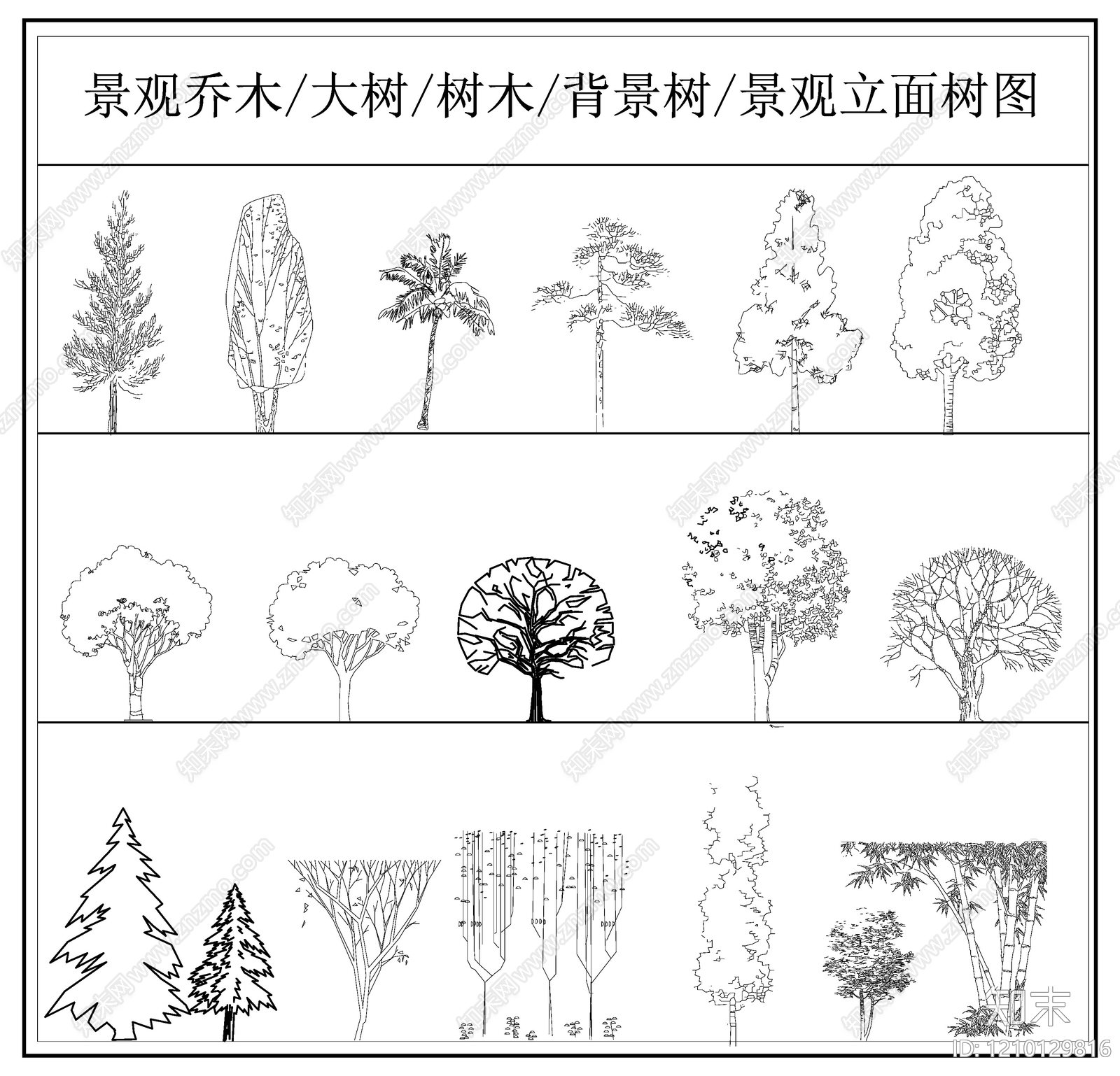 乔木种植施工图下载【ID:1210129816】