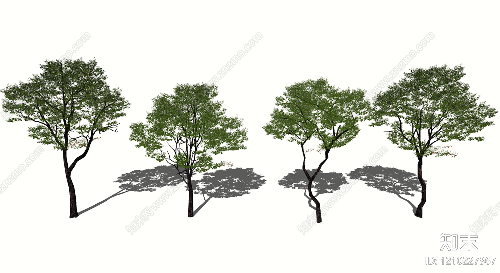 乔木SU模型下载【ID:1210227367】