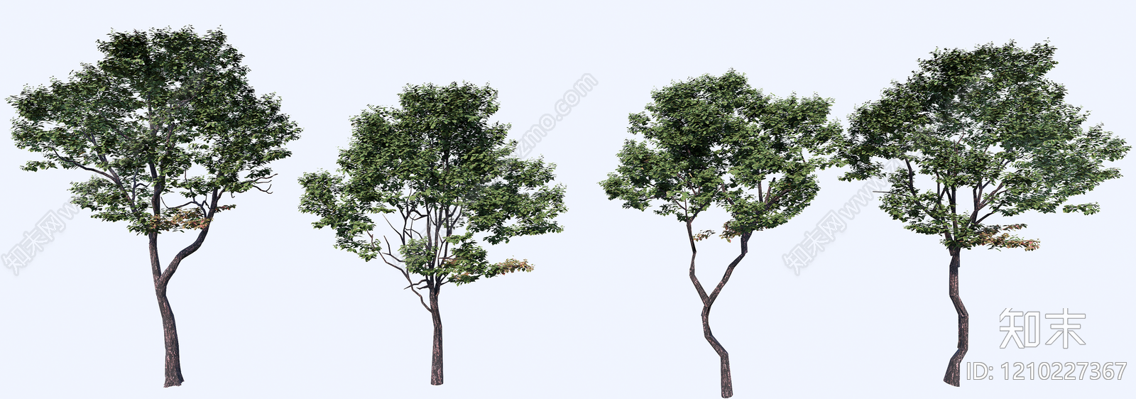 乔木SU模型下载【ID:1210227367】