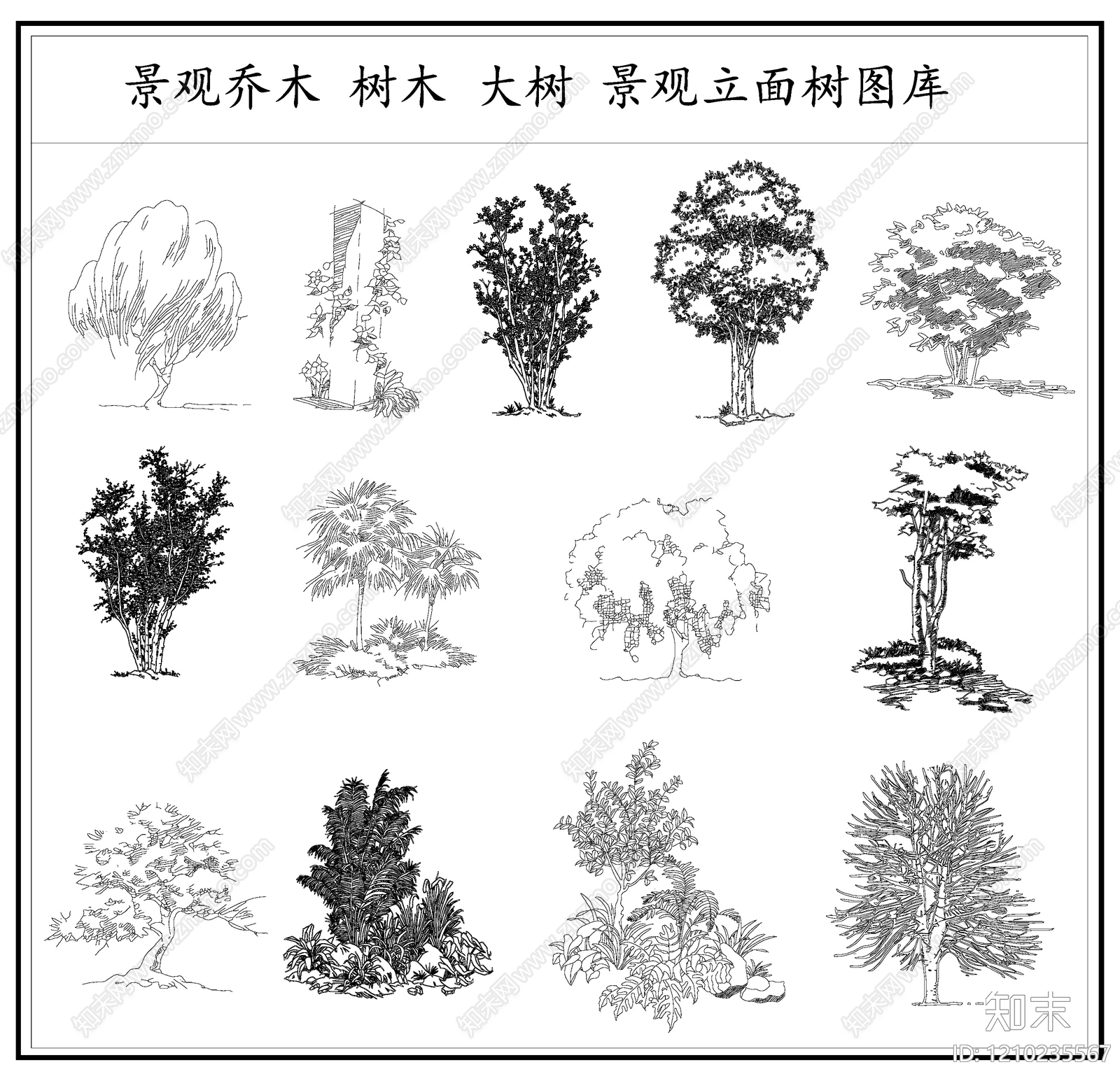 乔木种植施工图下载【ID:1210235567】