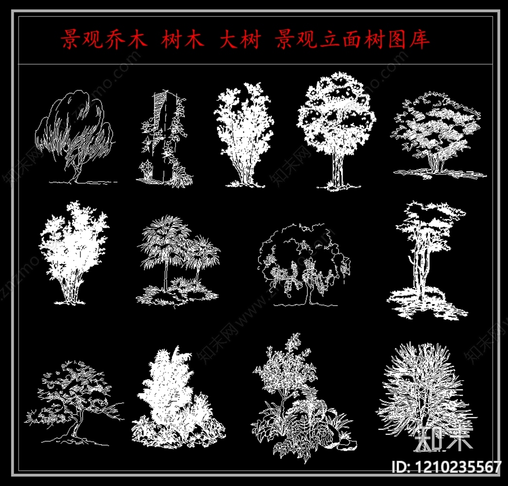 乔木种植cad施工图下载【ID:1210235567】
