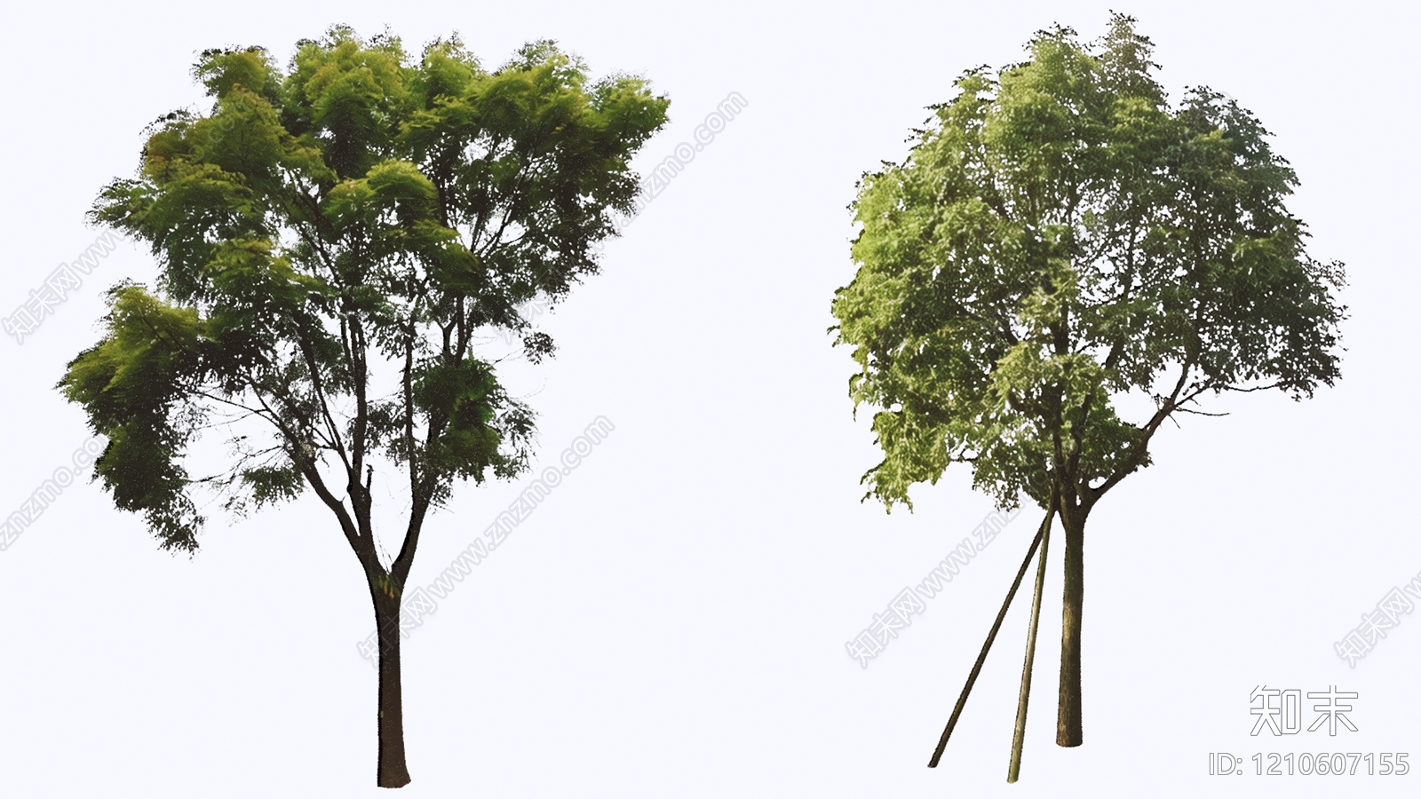 乔木SU模型下载【ID:1210607155】