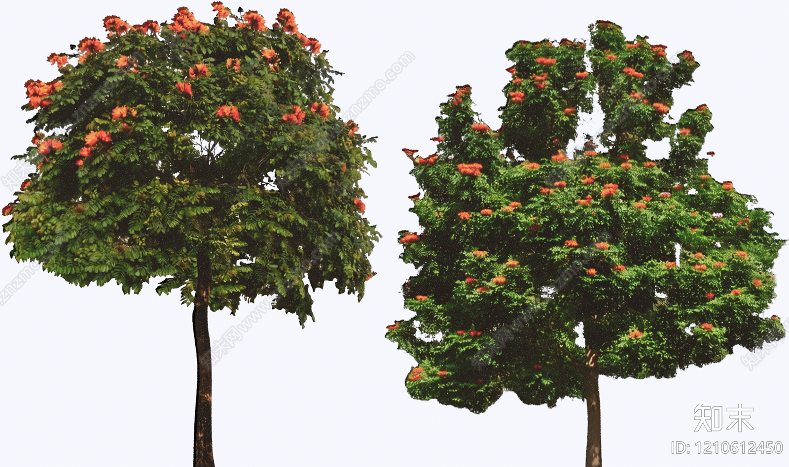 乔木SU模型下载【ID:1210612450】