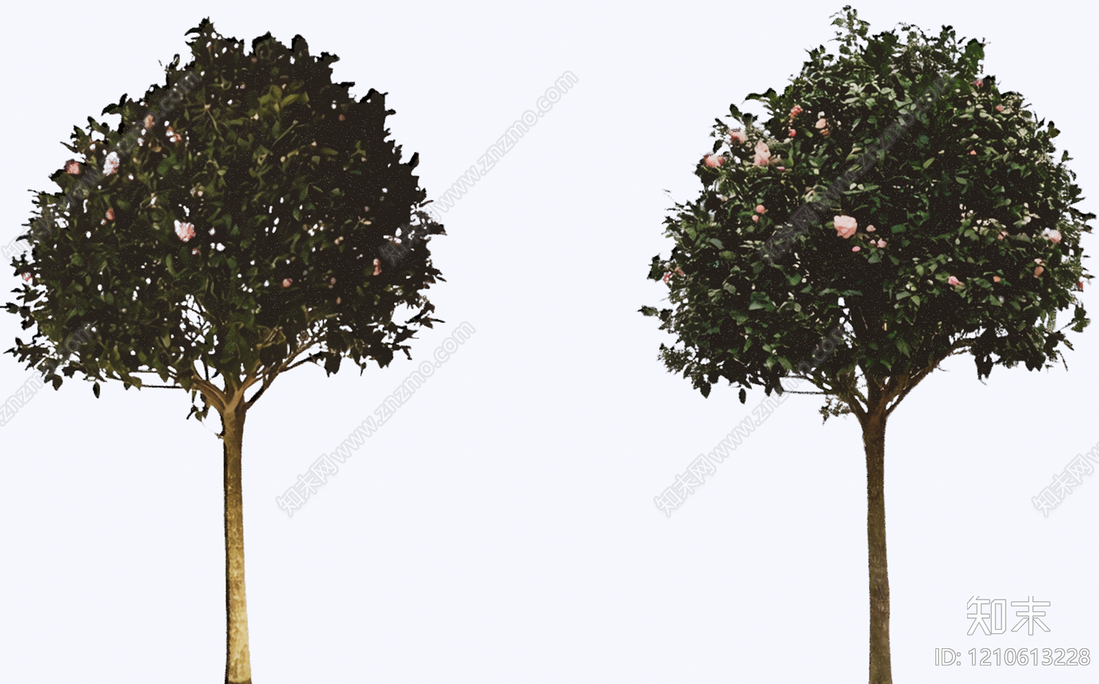 乔木SU模型下载【ID:1210613228】