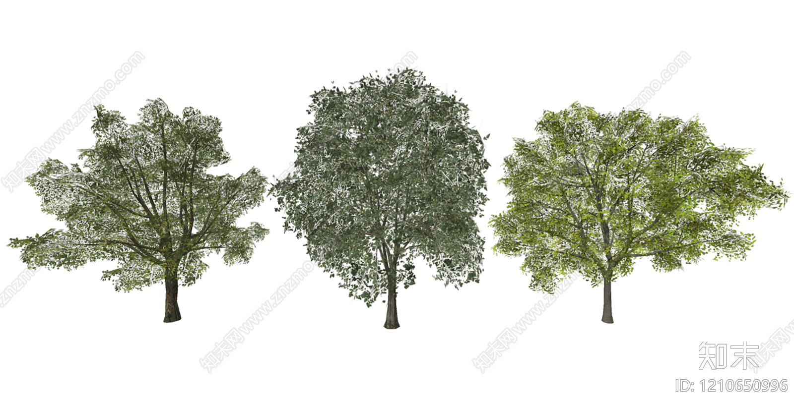 乔木SU模型下载【ID:1210650996】