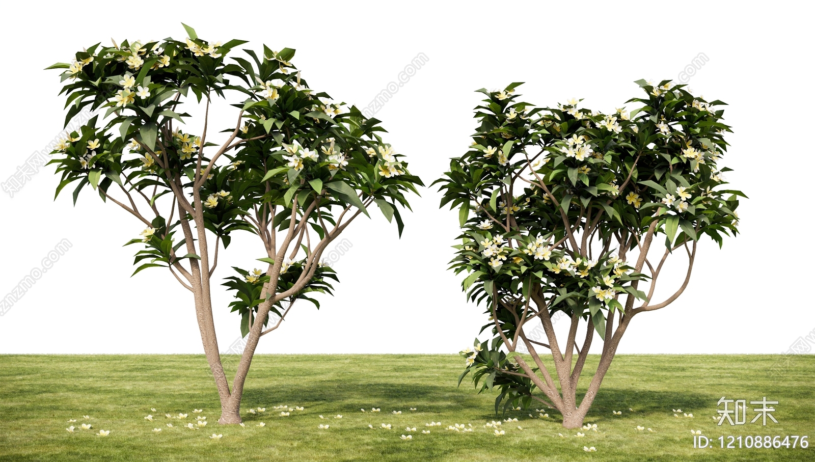 现代主义景观灌木SU模型下载【ID:1210886476】
