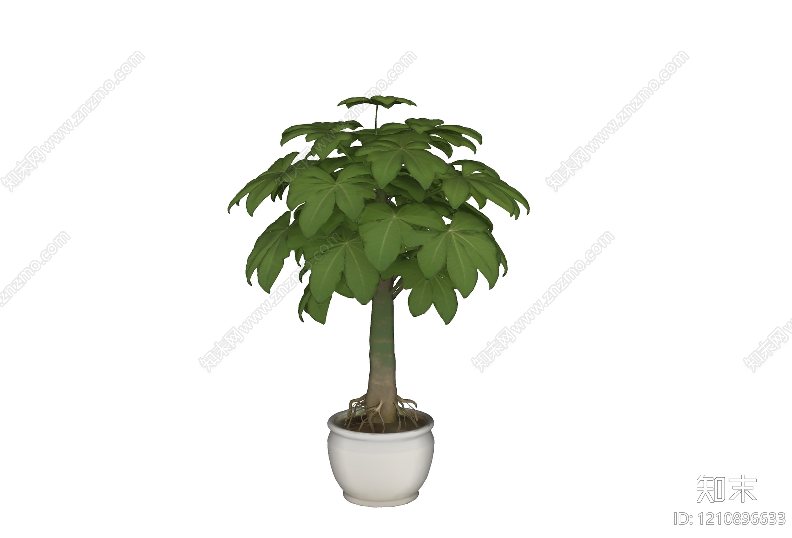 极简乔木SU模型下载【ID:1210896633】