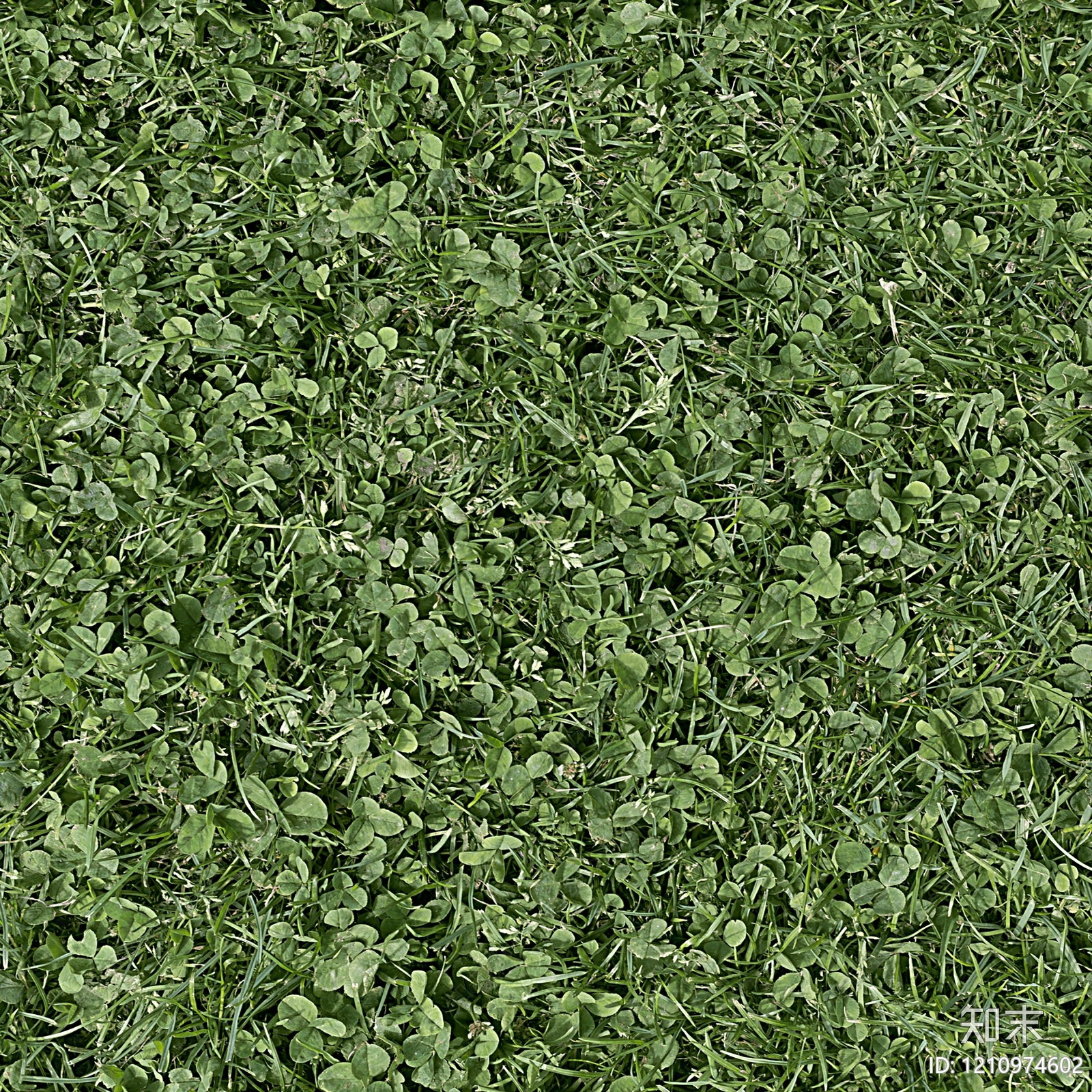 现代新中式草地贴图下载【ID:1210974602】