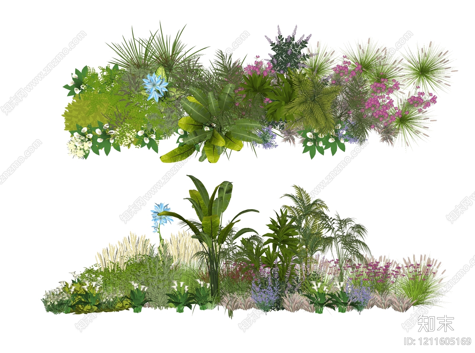 热带植物景观花境SU模型下载【ID:1211605169】