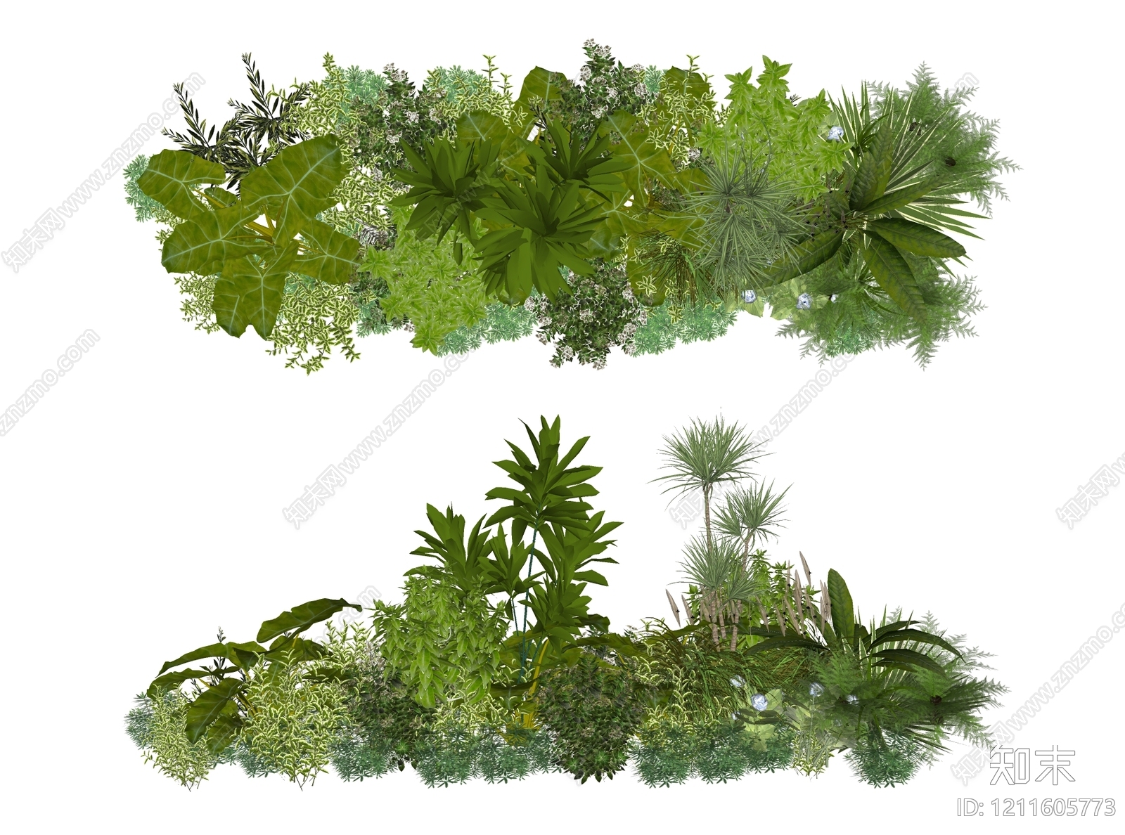 热带植物景观植物组合SU模型下载【ID:1211605773】