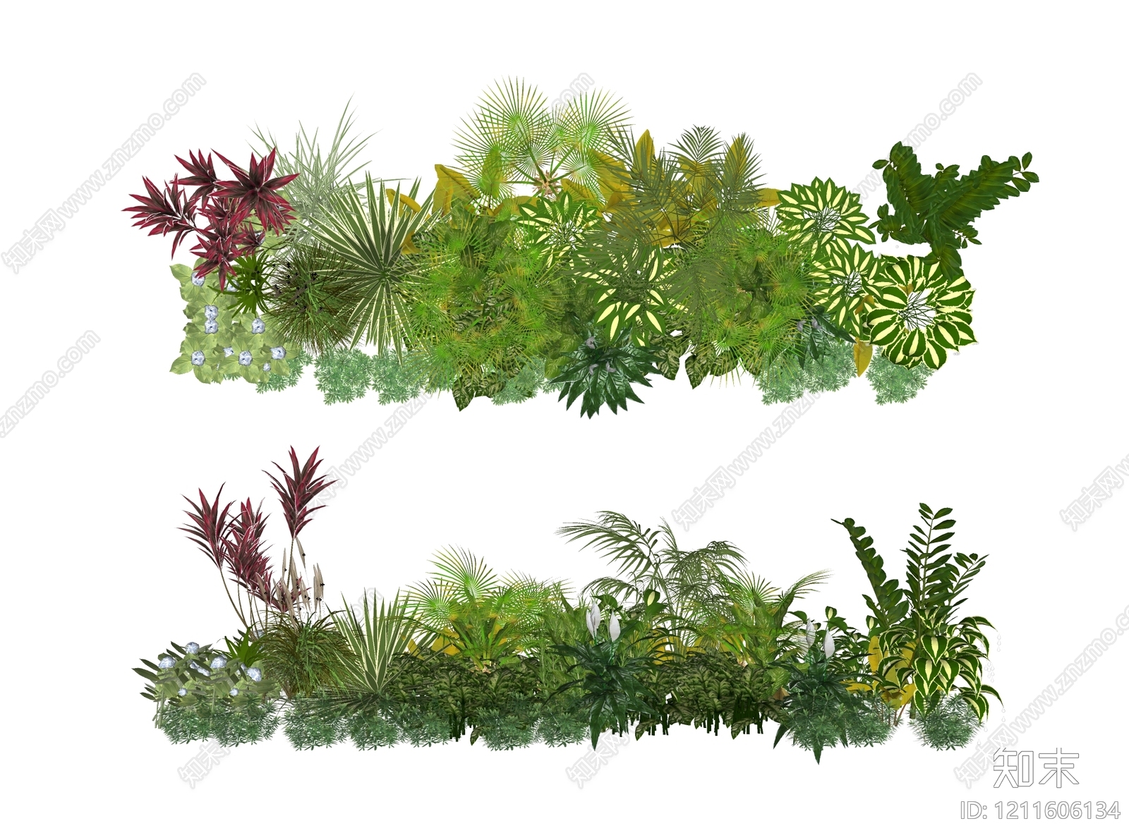 热带植物景观植物组合SU模型下载【ID:1211606134】