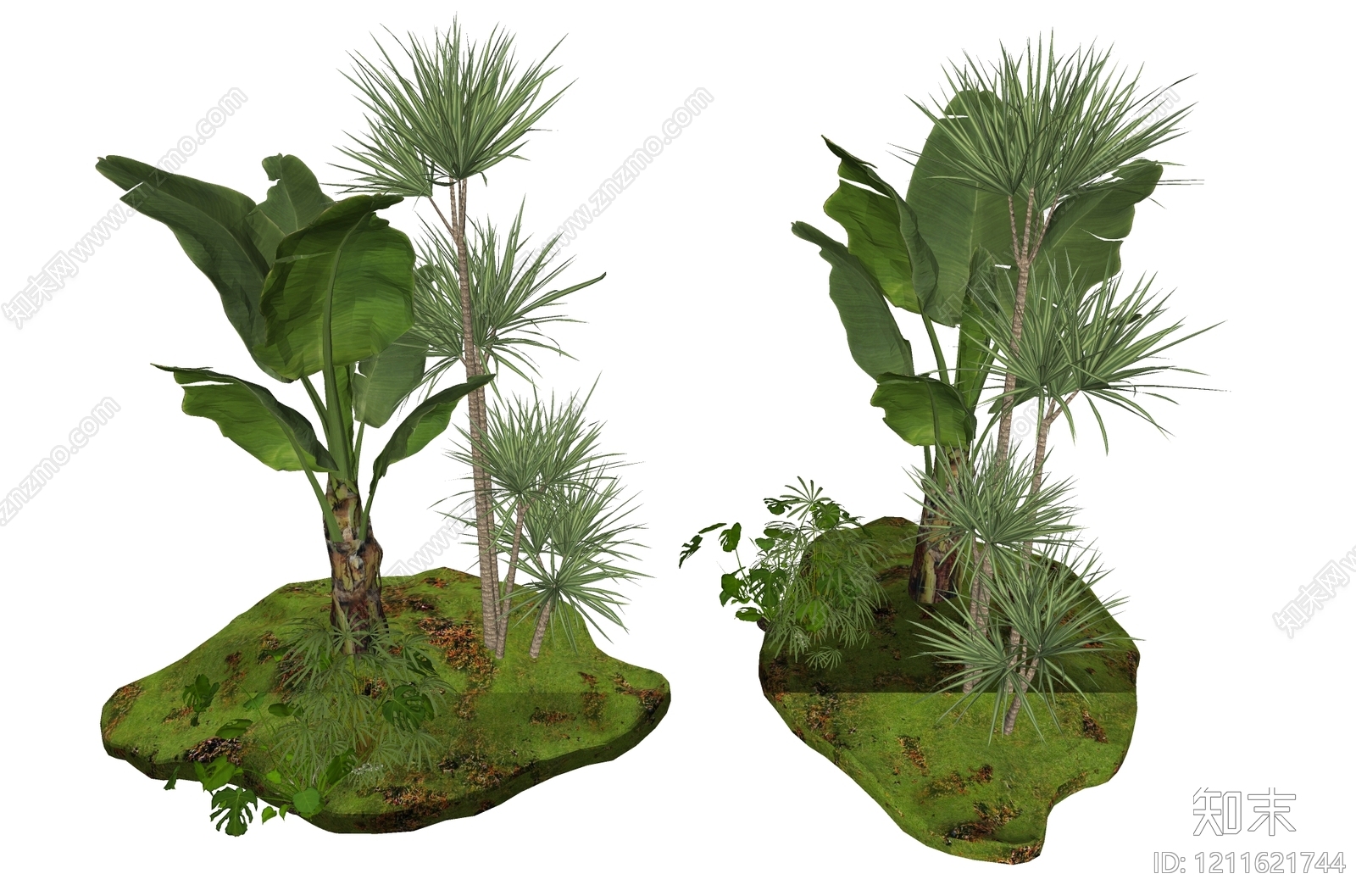 热带景观植物组合SU模型下载【ID:1211621744】