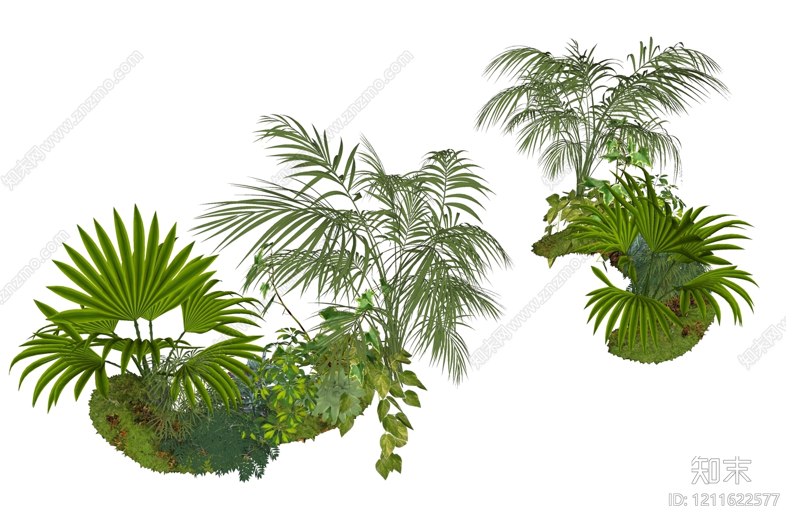 热带植物景观植物组合SU模型下载【ID:1211622577】