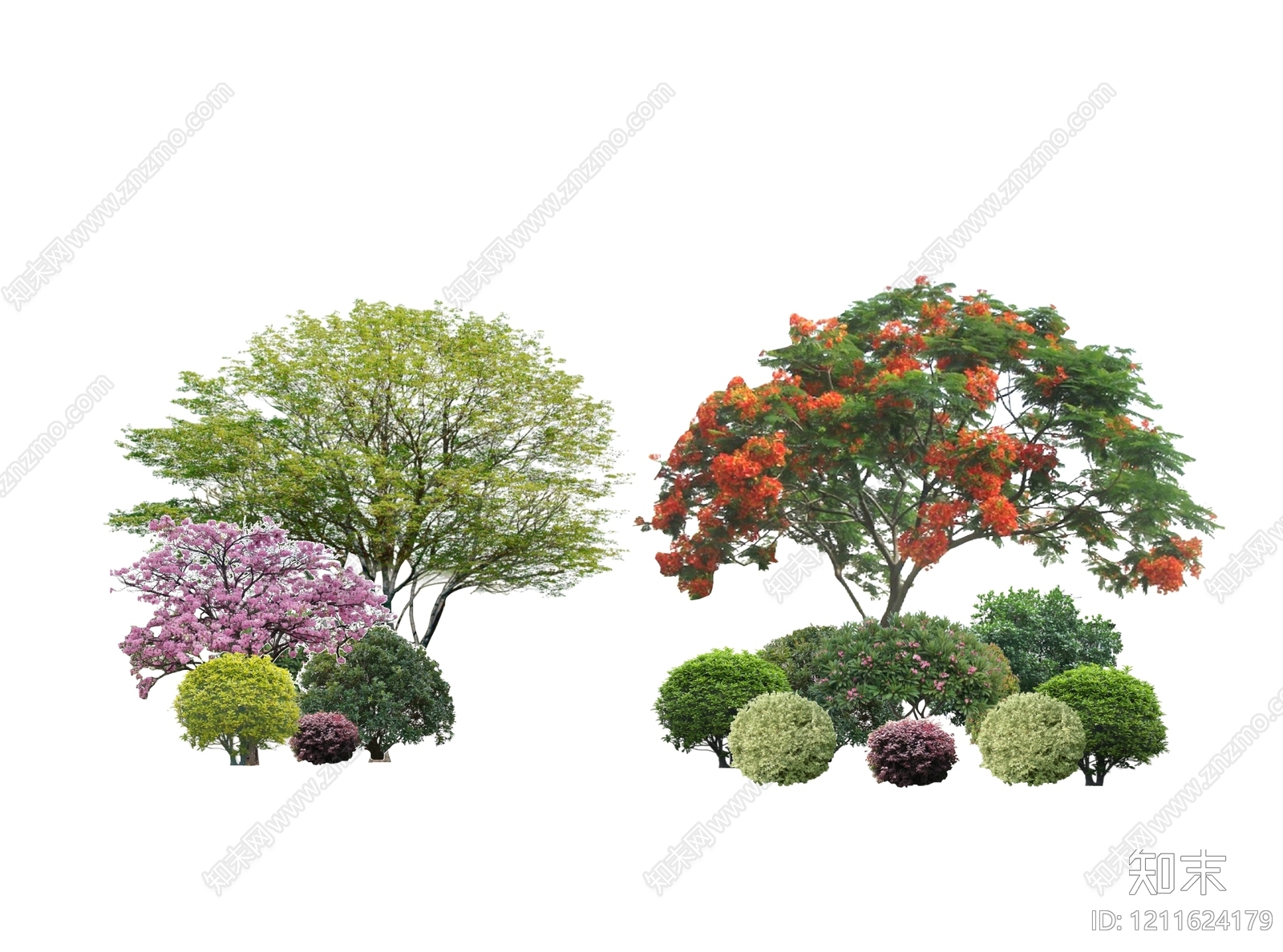 现代园林植物组合SU模型下载【ID:1211624179】