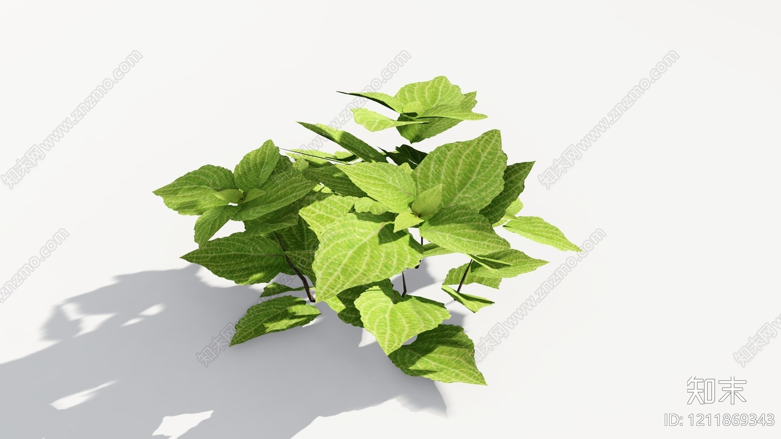 现代简约草本植物SU模型下载【ID:1211869343】
