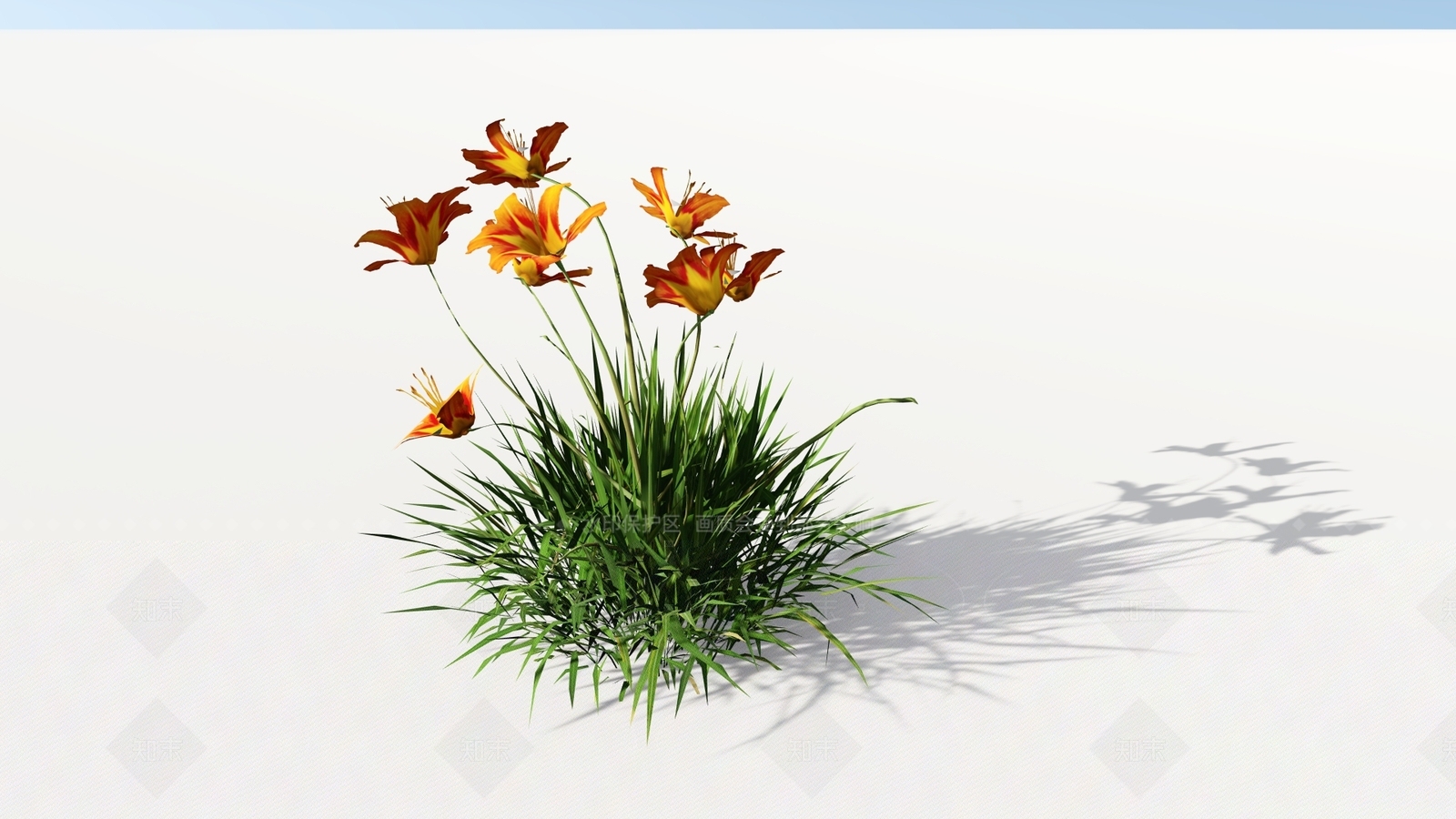 现代主义花草SU模型下载【ID:1211869732】