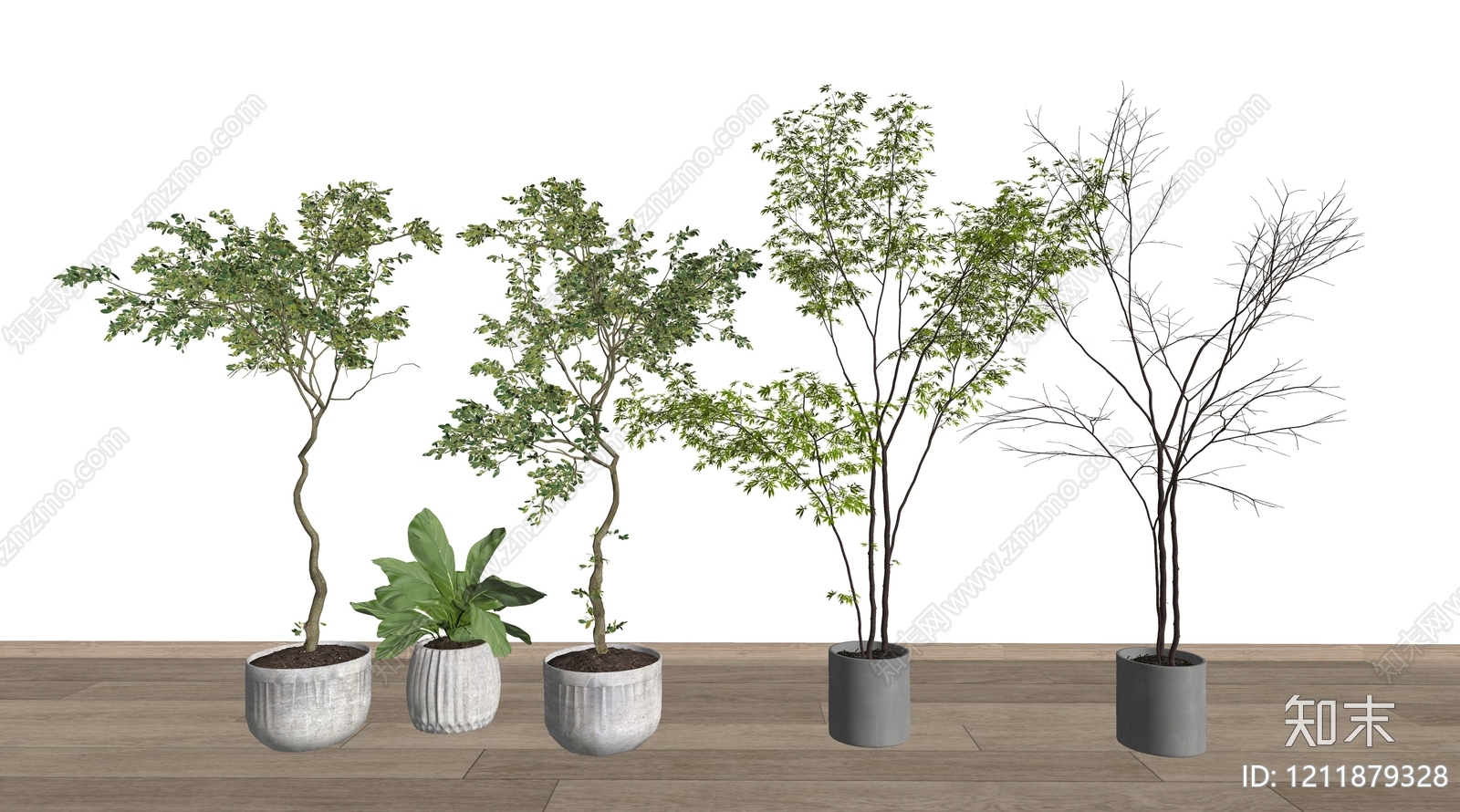现代简约盆栽SU模型下载【ID:1211879328】