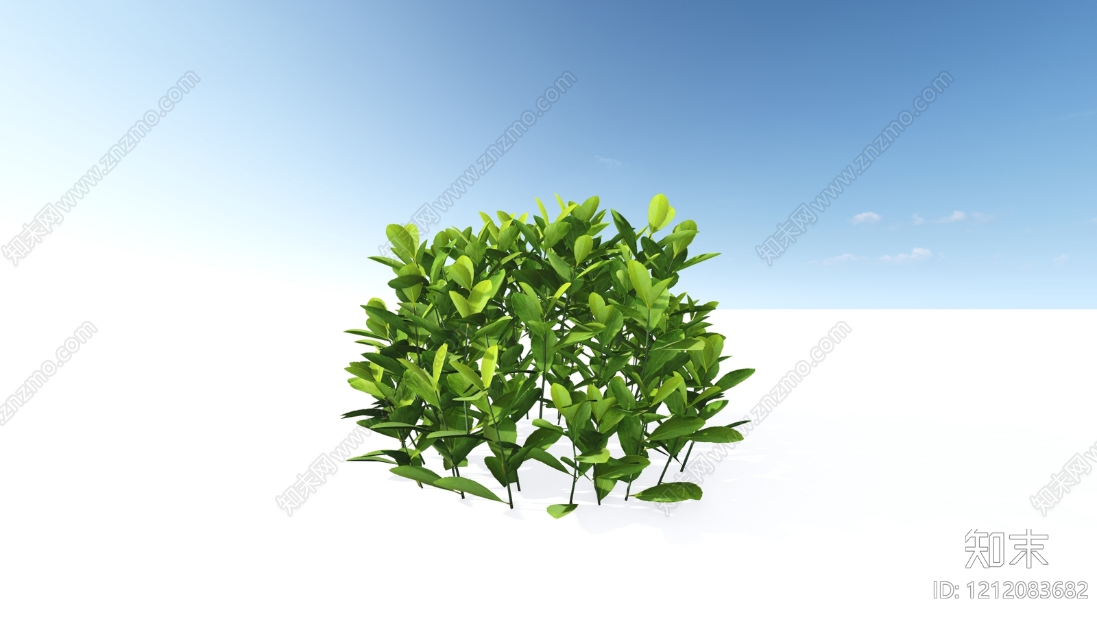 极简主义灌木SU模型下载【ID:1212083682】