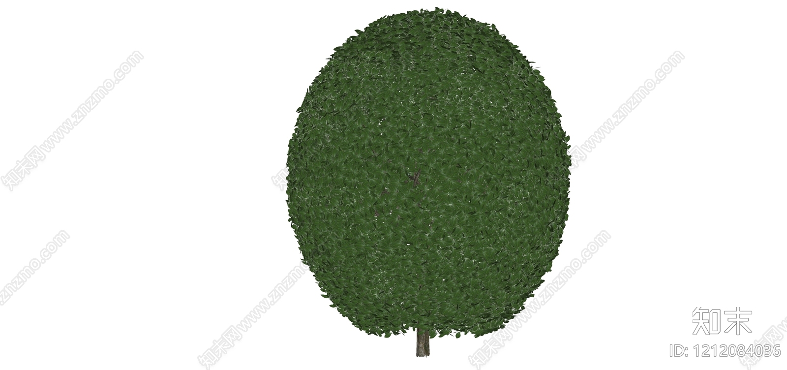 极简主义灌木SU模型下载【ID:1212084036】