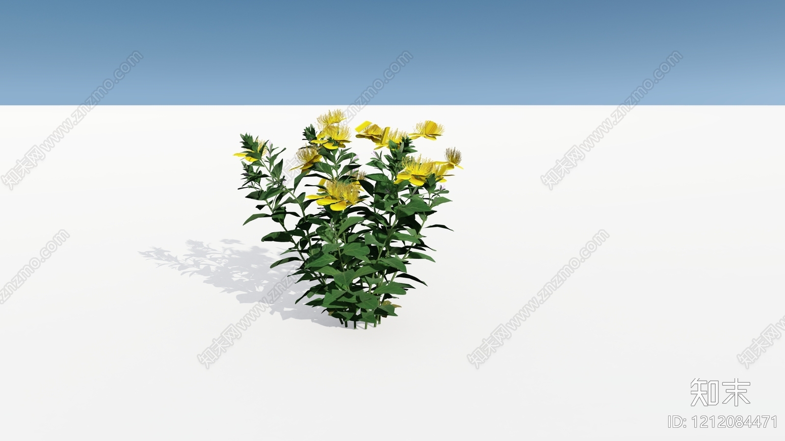 极简主义灌木SU模型下载【ID:1212084471】