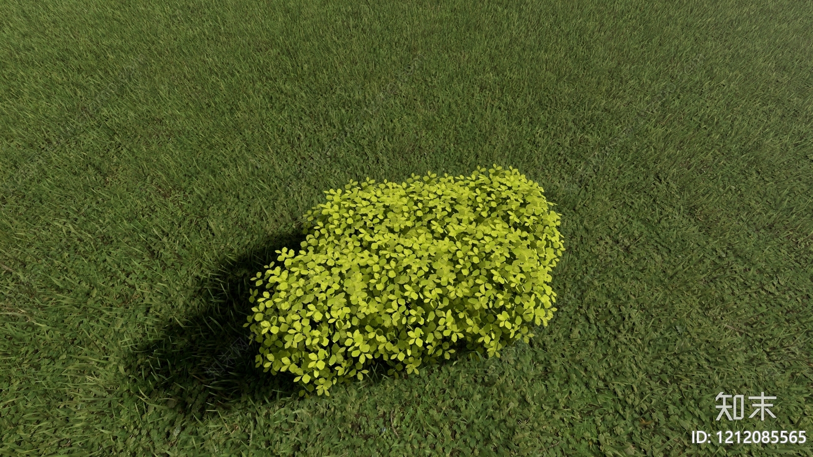 现代简约灌木SU模型下载【ID:1212085565】