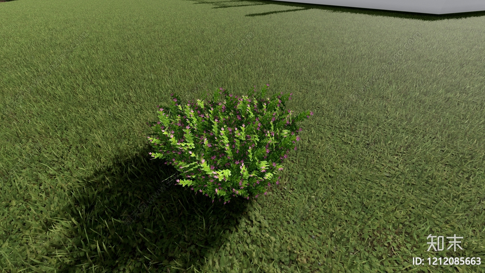 现代简约灌木SU模型下载【ID:1212085663】