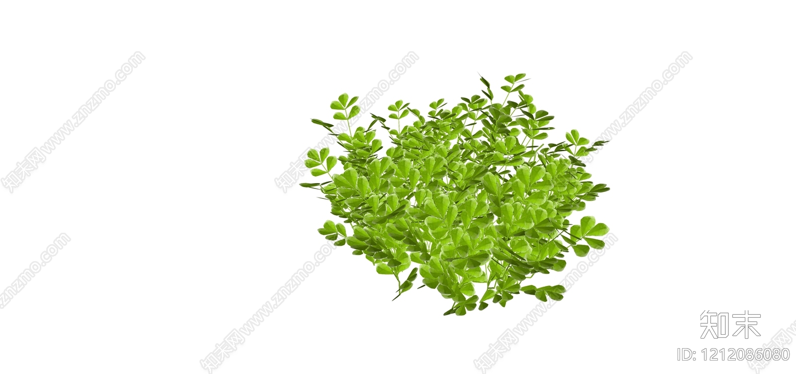 自然主义灌木SU模型下载【ID:1212086080】