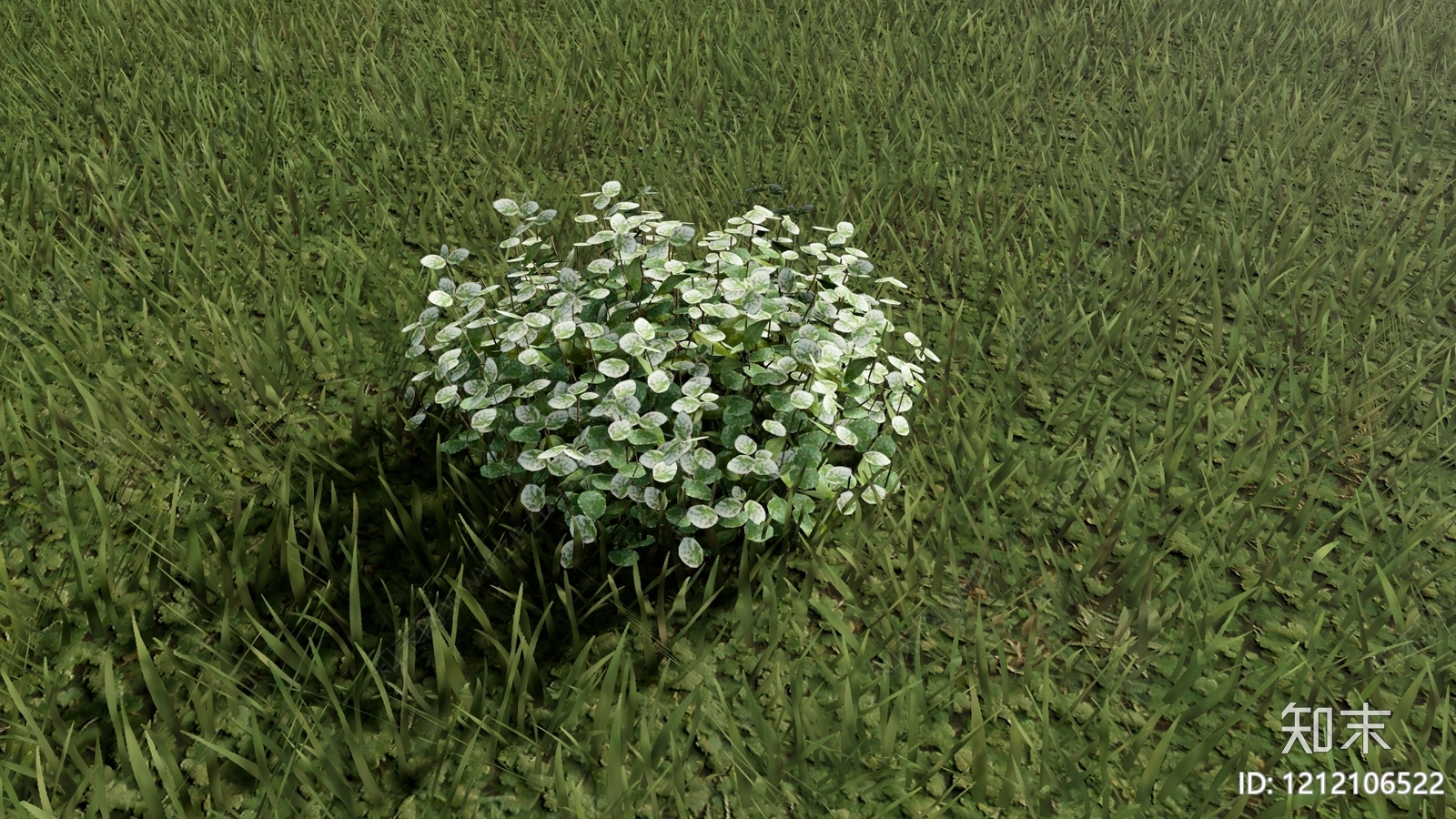 自然主义灌木SU模型下载【ID:1212106522】