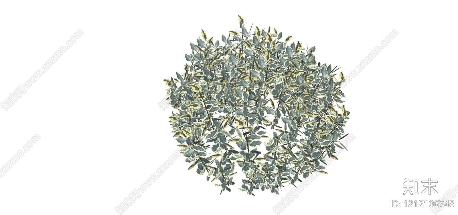 自然主义灌木SU模型下载【ID:1212106748】