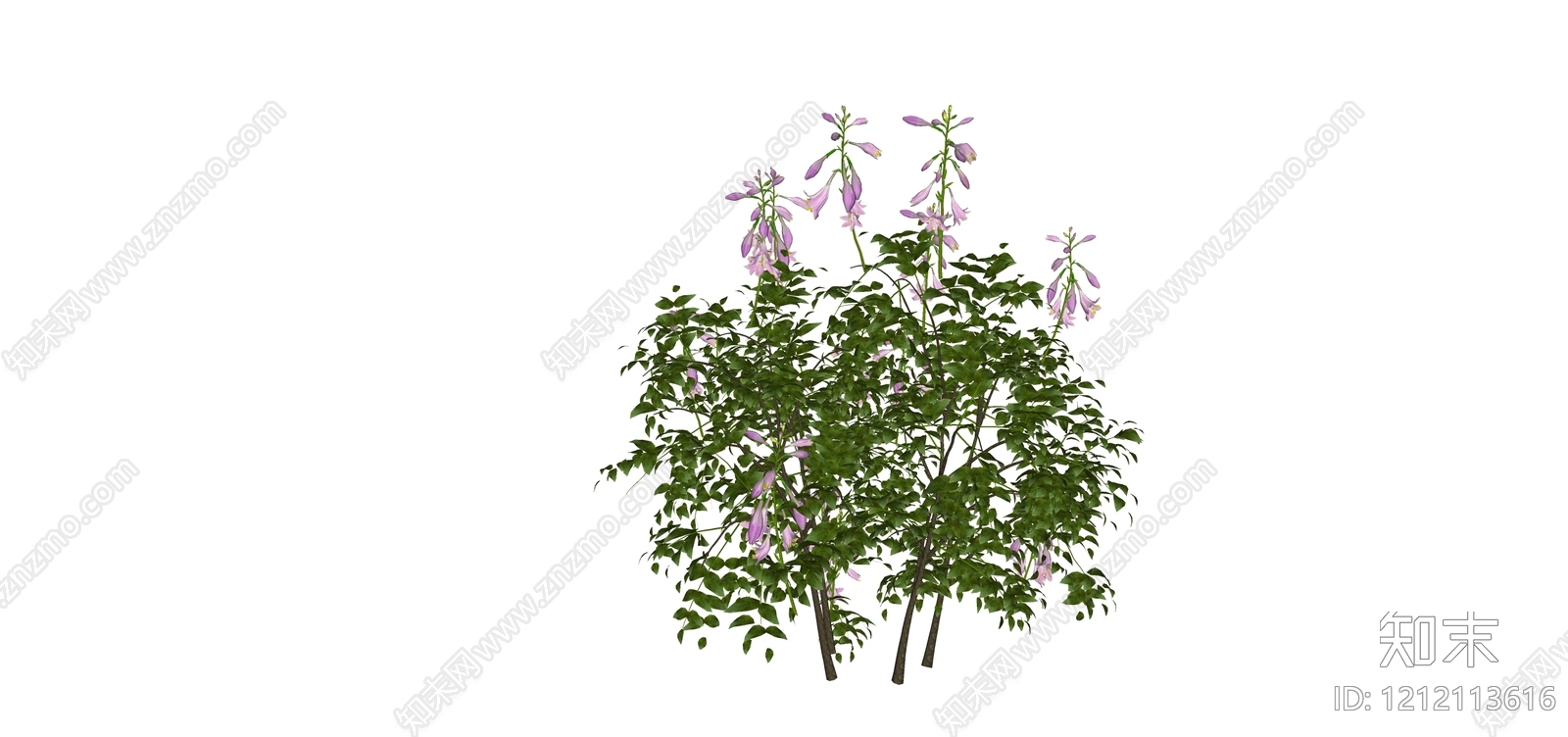 现代主义景观灌木SU模型下载【ID:1212113616】