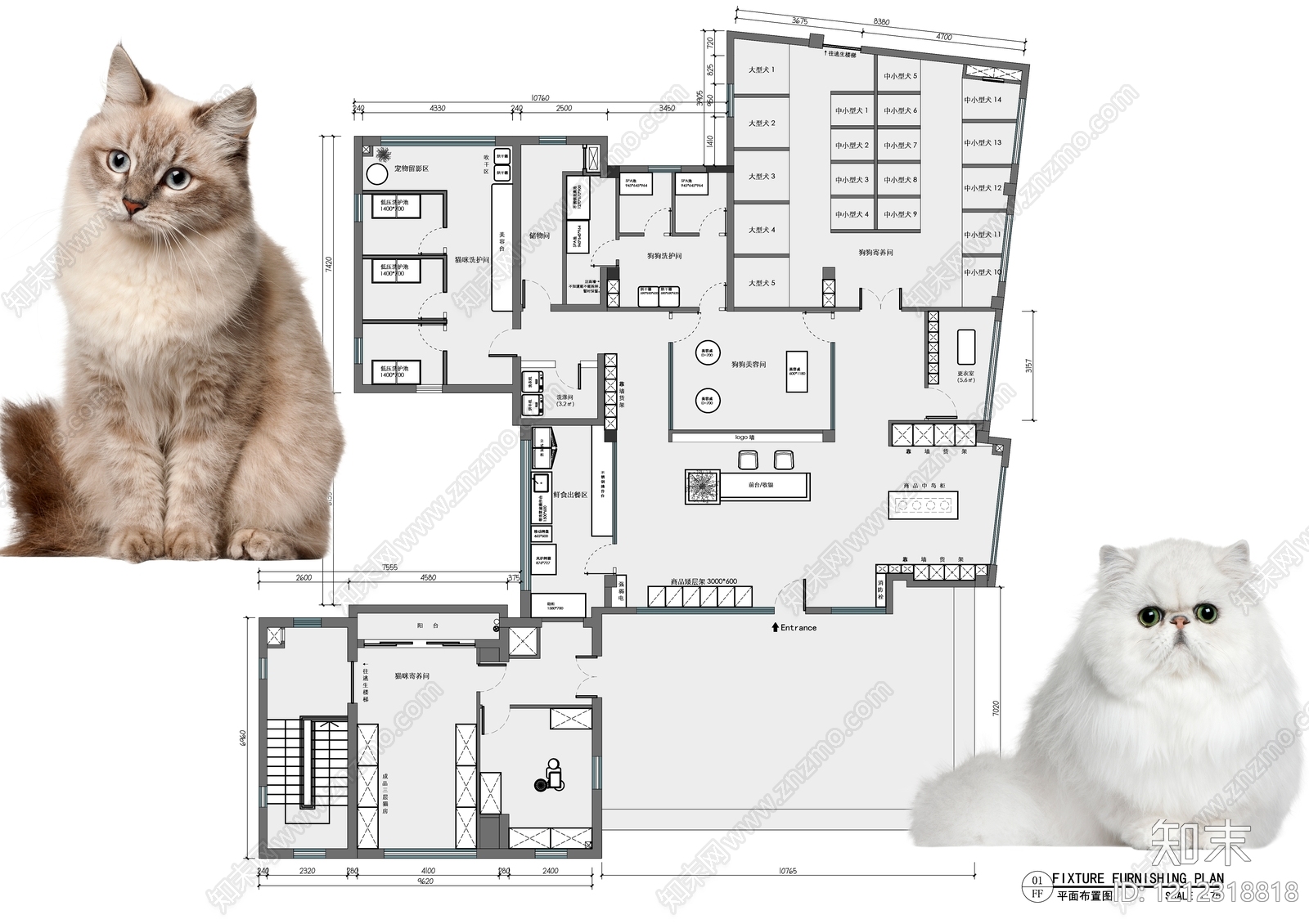 现代宠物医院施工图下载【ID:1212318818】