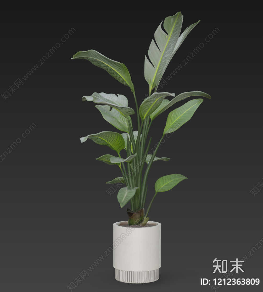 现代简约盆栽3D模型下载【ID:1212363809】