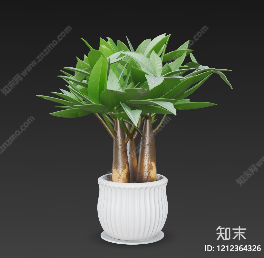 现代简约盆栽3D模型下载【ID:1212364326】