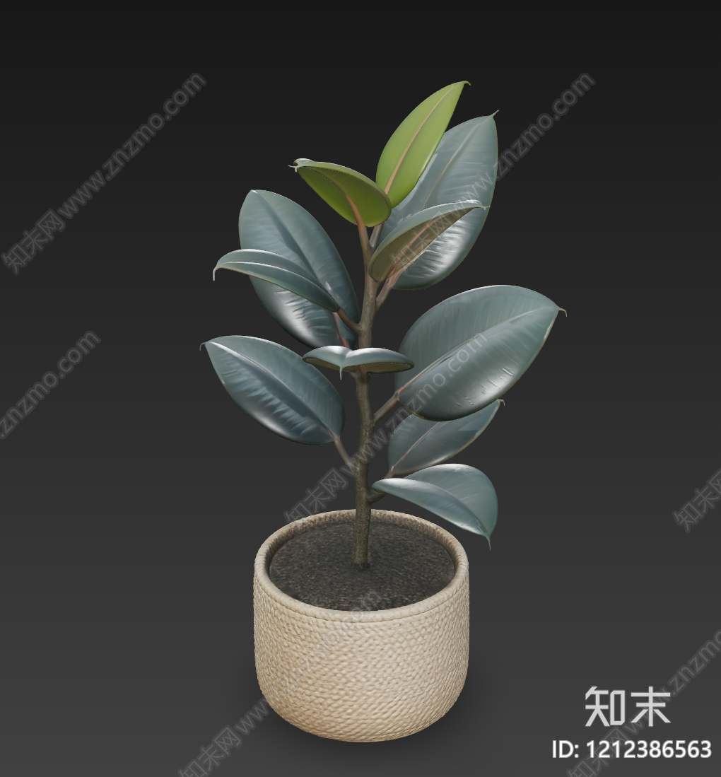 现代简约盆栽3D模型下载【ID:1212386563】