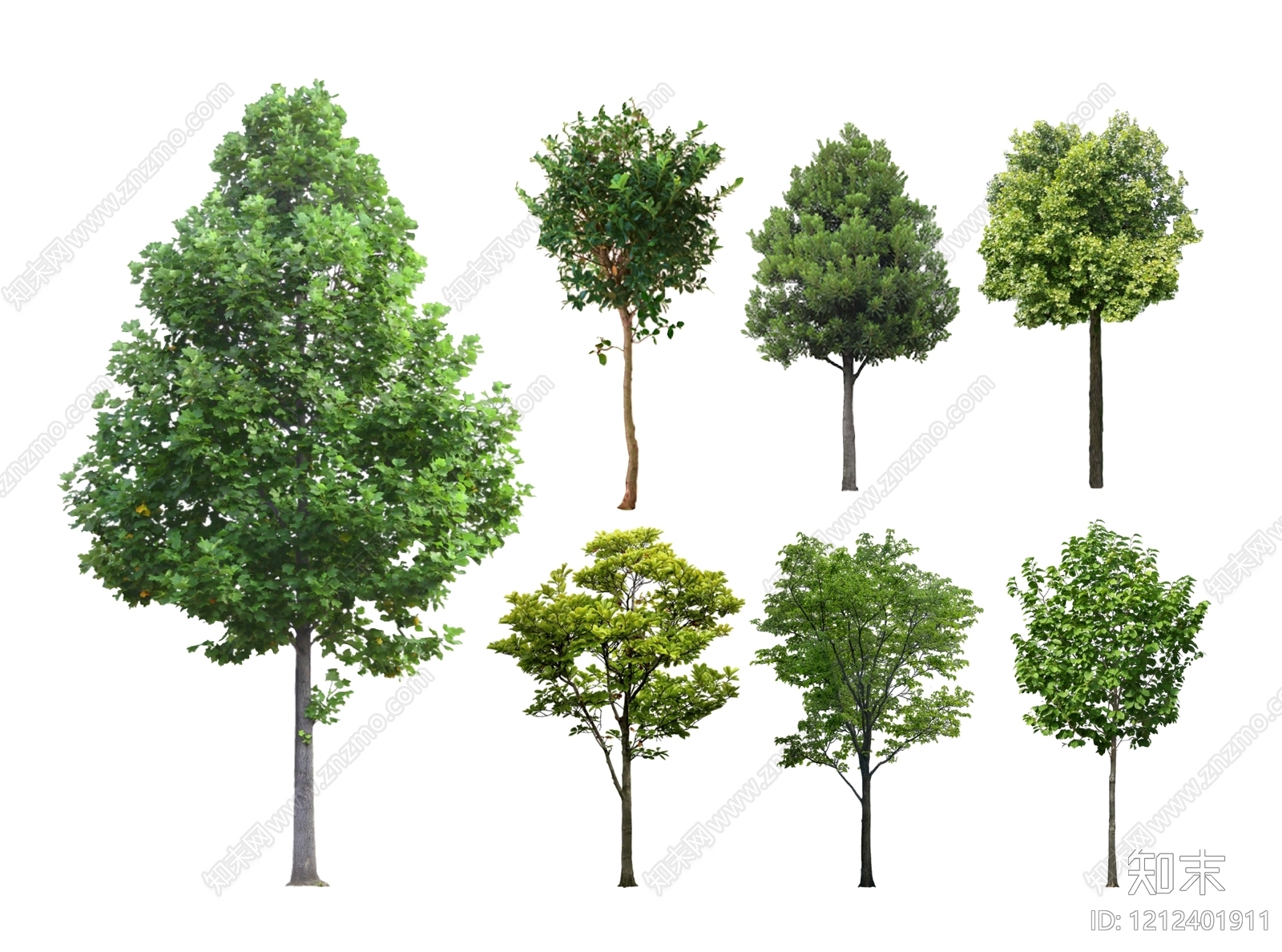 现代景观树乔木SU模型下载【ID:1212401911】
