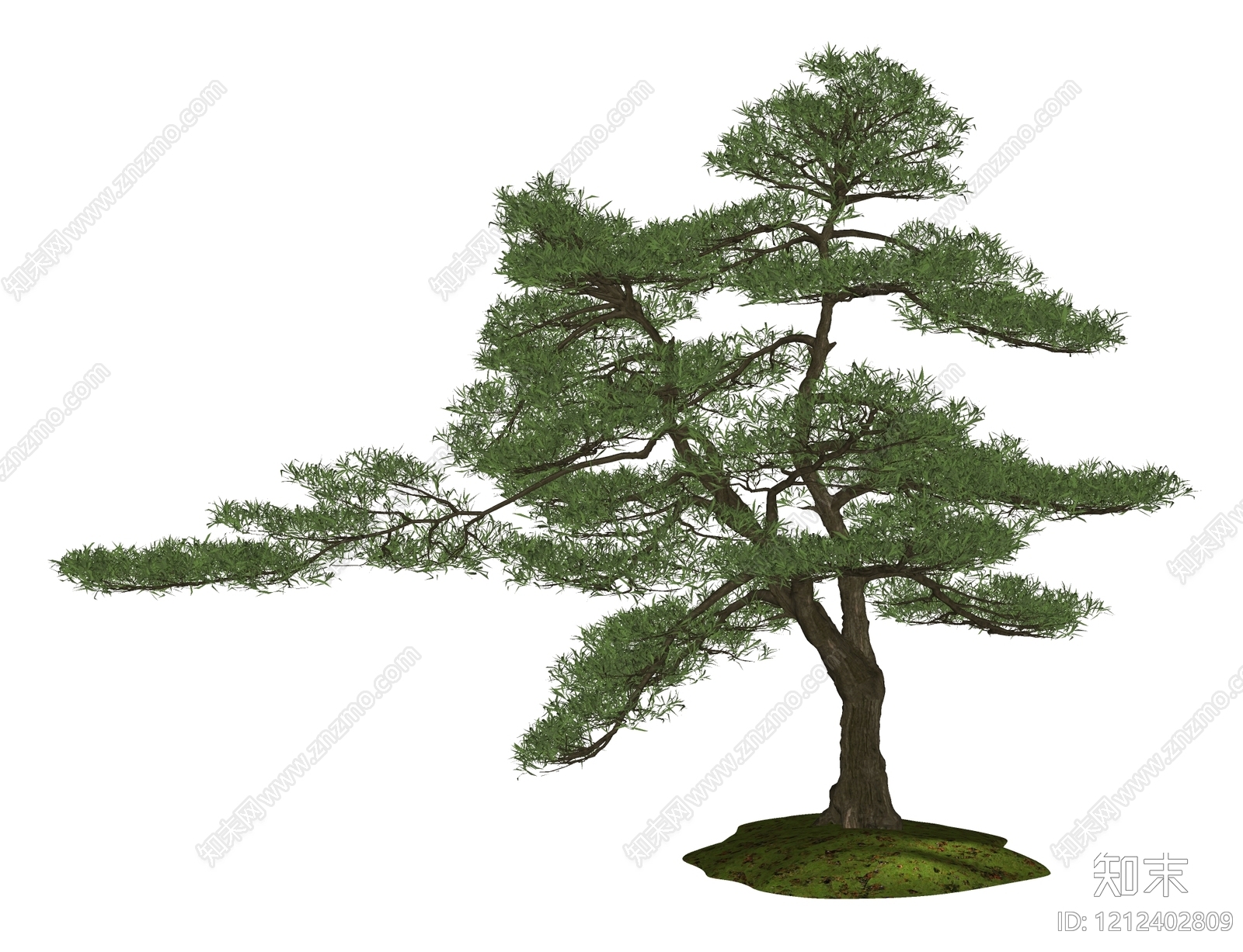 新中式乔木SU模型下载【ID:1212402809】
